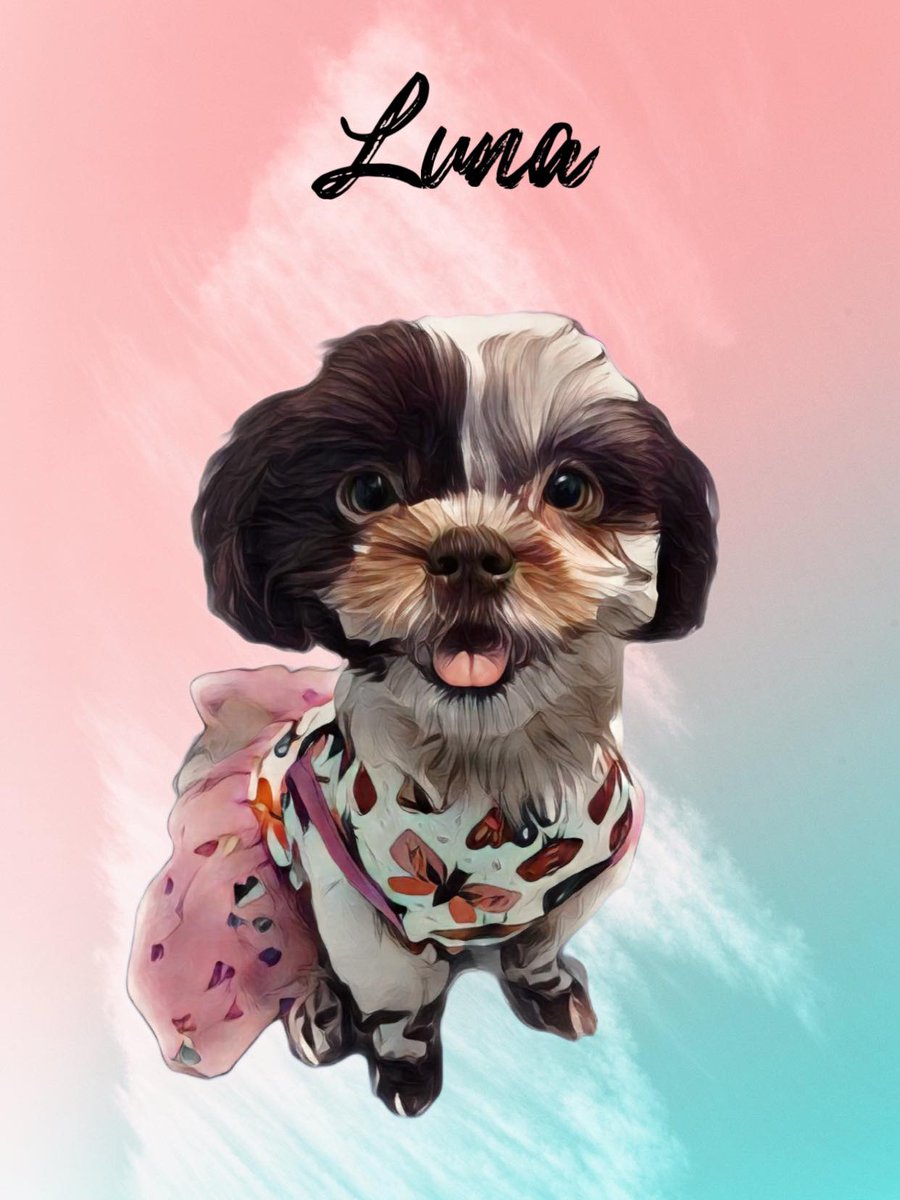 Lysscaliboso's tweet photo. Henlow! 🐶 https://t.co/lBwL608CEv
