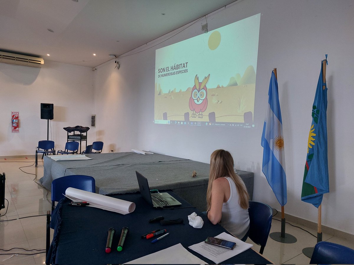 Alejandro Pezzola tweet media