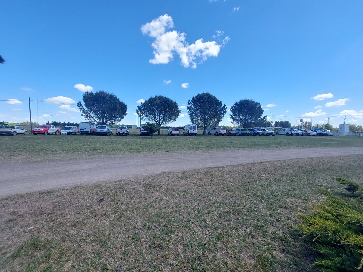 Alejandro Pezzola tweet media