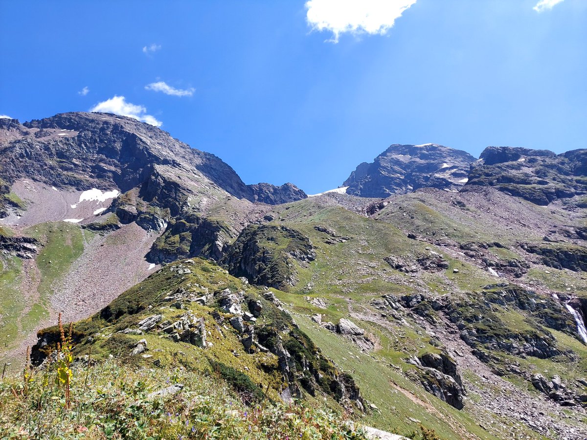 Great paper based on a solid dataset. A nice read to understand the complexities underlying climate change responses in the little studies Himalayan high altitude alpine ecosystems.