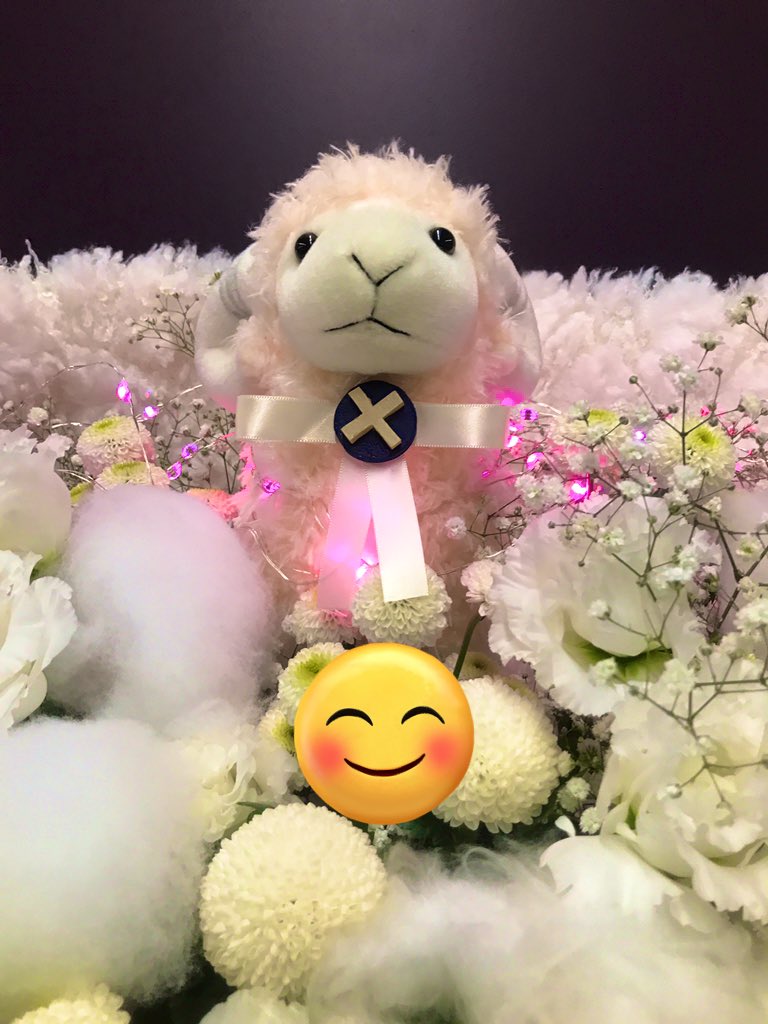 furasutayoshida's tweet photo. ぽろん…そしてぽよん
ころころパッ🤗

もふもふえんな羊さんのご出勤お久しぶりですの🙄

さてと…
帰って作製作製🏃‍♂️ https://t.co/1ymAt8ay28