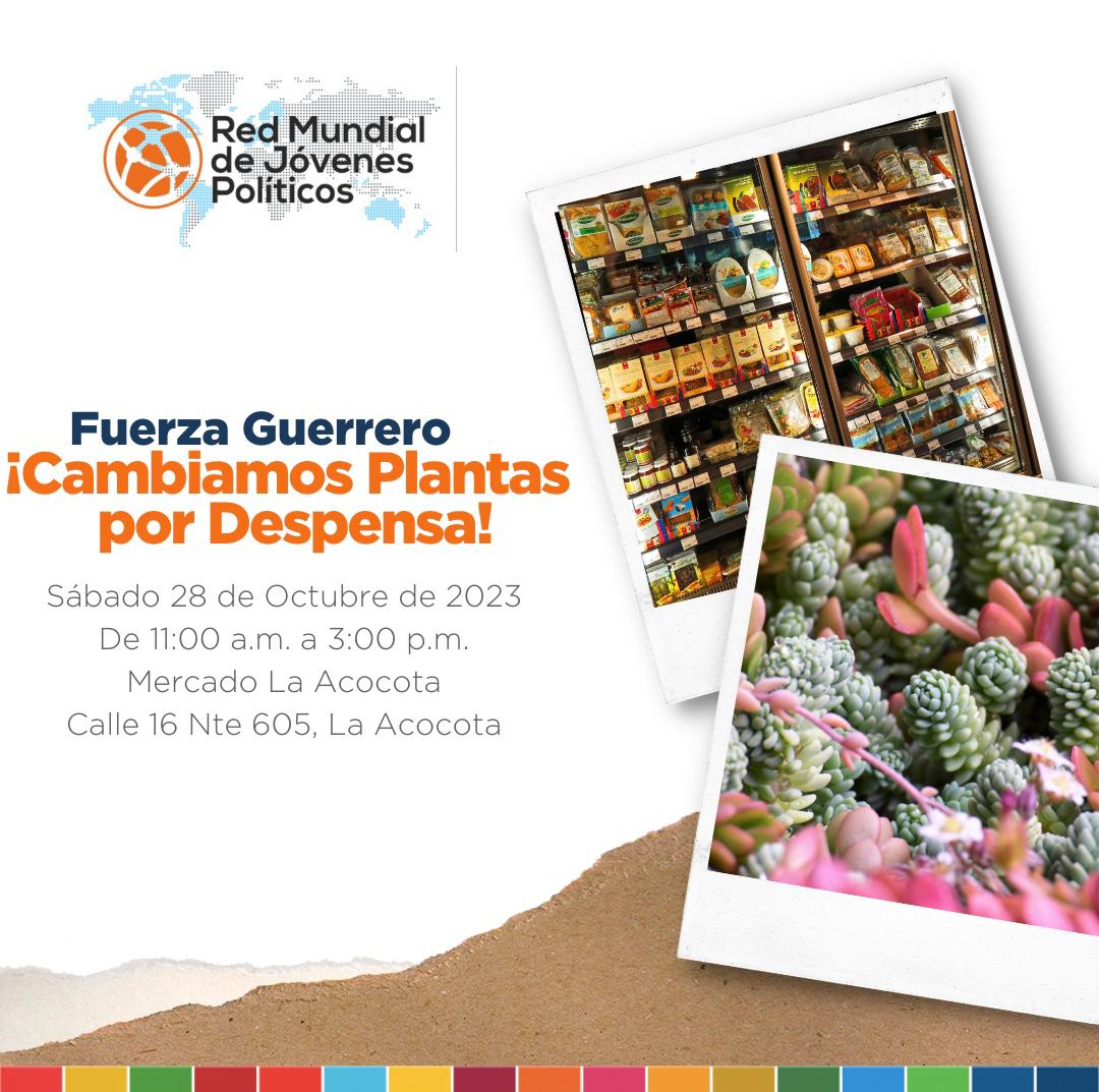 DigitalPueblaN's tweet photo. Red Mundial de Jóvenes Políticos Puebla recaudará víveres a cambio de plantas
@NinaBermudez0 #Rmjp #Puebla #Guerrero #HuracanOtis https://t.co/FSxFEX6ODD https://t.co/DqFNw6D0BP