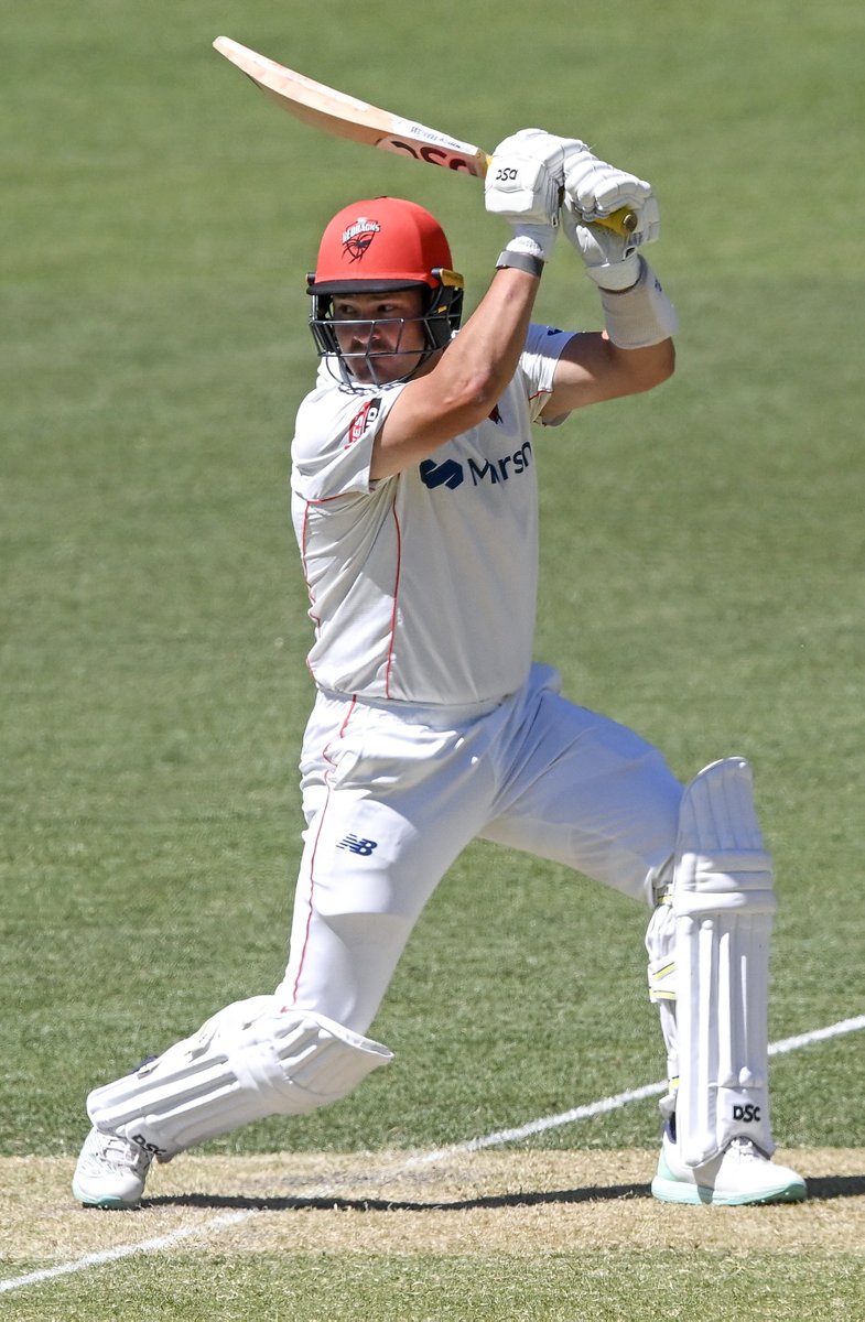 South Australia Cricket Teams tweet media