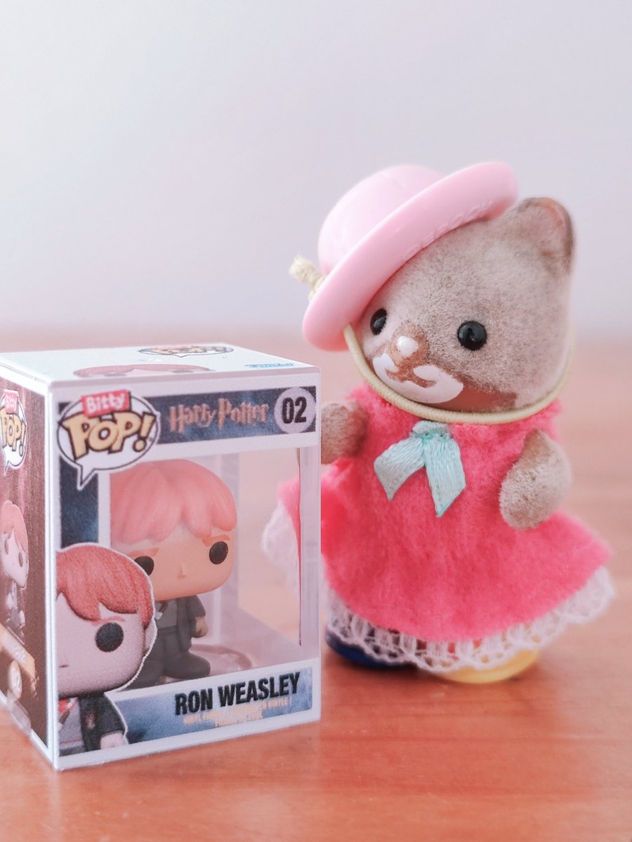 schrei_und_tod's tweet photo. Shima Be Like ~ Harry or Ron? 

#cute #kawaii #かわいい #可爱い  #toy #toycollection #tiny #cutenessoverload  #toystagram #instatoys   #Epoch #SylvanianFamilies #シマネコの赤ちゃん #calicocritters  #ShimaBebe #HarryPotter #RonWeasly #BittyPop #MicroFigures https://t.co/nlFBtWvCq3