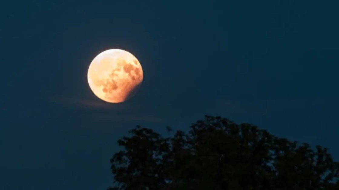 DailyPopmix's tweet photo. How To See This Weekend's Full 'Hunter's Moon' Eclipse

https://t.co/VHJC6gQY8f

#lunareclipse
#partialeclipse
#HuntersMoon
#Earthsshadow
#penumbra https://t.co/zEwaiR6gYq