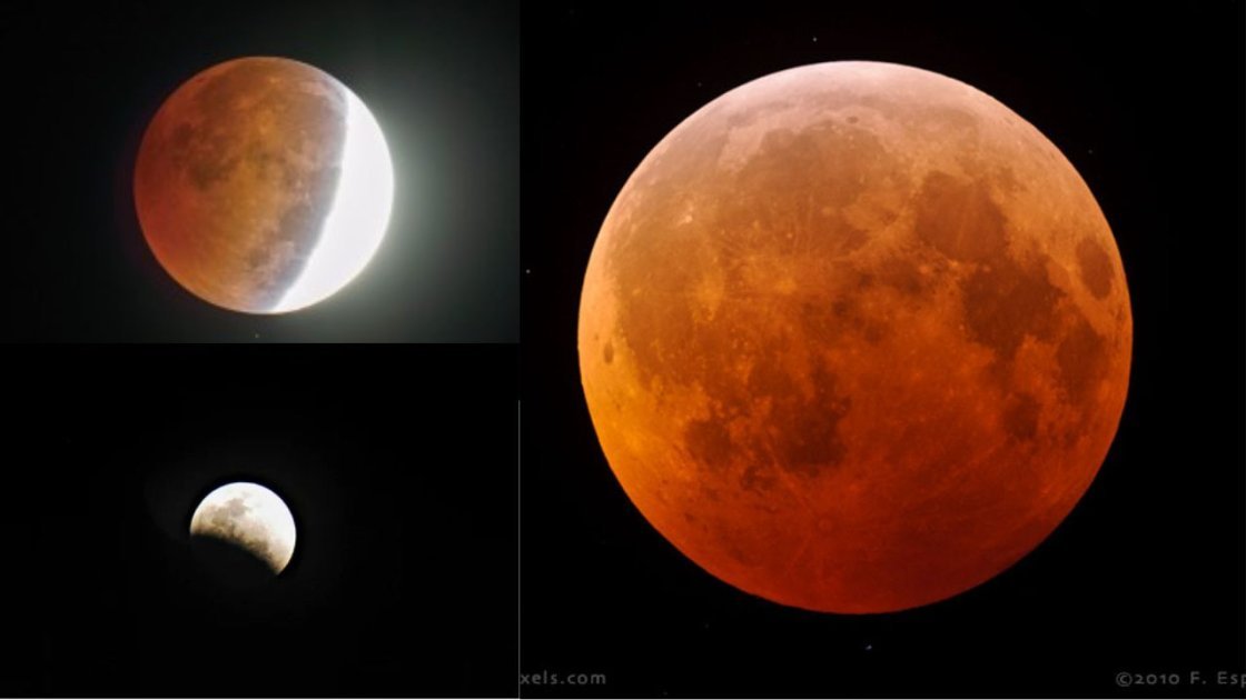 DailyPopmix's tweet photo. How To See This Weekend's Full 'Hunter's Moon' Eclipse

https://t.co/VHJC6gQY8f

#lunareclipse
#partialeclipse
#HuntersMoon
#Earthsshadow
#penumbra https://t.co/zEwaiR6gYq