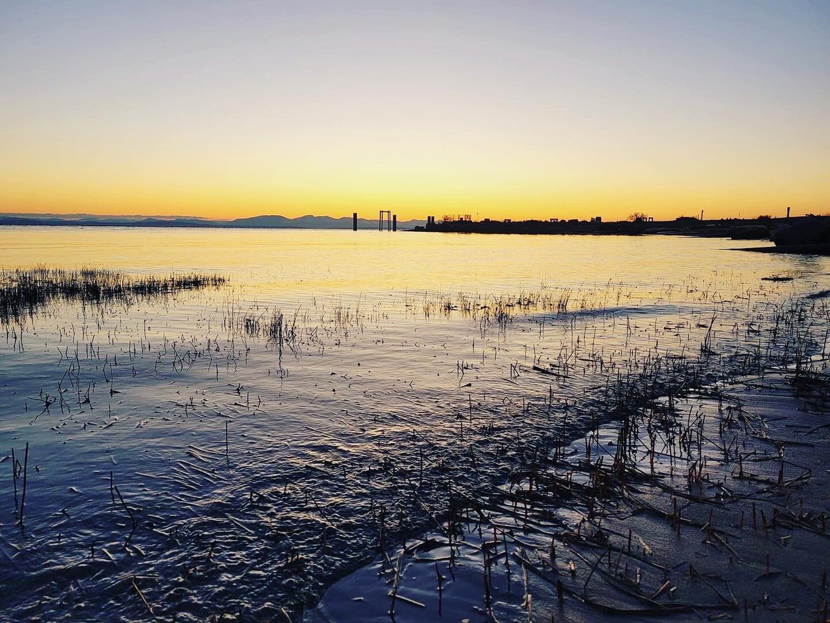 GreenSeedsMusic's tweet photo. 🌟 Activities:

•🖌️ Art Corner
•📖 Stories from Indigenous elders
•💃 Migration Dance
•🦜 Workshops on birds &amp; fly fishing
•🌱 Conservation Pledge

Swipe ➡️ for stunning views. Join us for nature, culture &amp; community!

#RichmondEvents #WalkWithUs #NatureLovers https://t.co/i0elKiMDVM