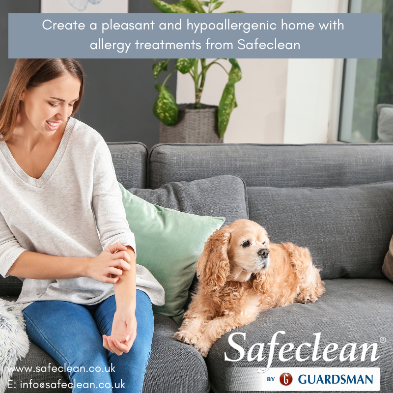 Safeclean_UK's tweet photo. A happy home is one free from irritants and allergens, and with decades of cleaning experience Safeclean know exactly how to help #Safeclean #Safecleanbyguardsman #Upholstery #Stainremoval #Stain #Clean #Furniture #Sofa #Carpetcleaning #Mattress #Deodorisation https://t.co/91npnT6j1v