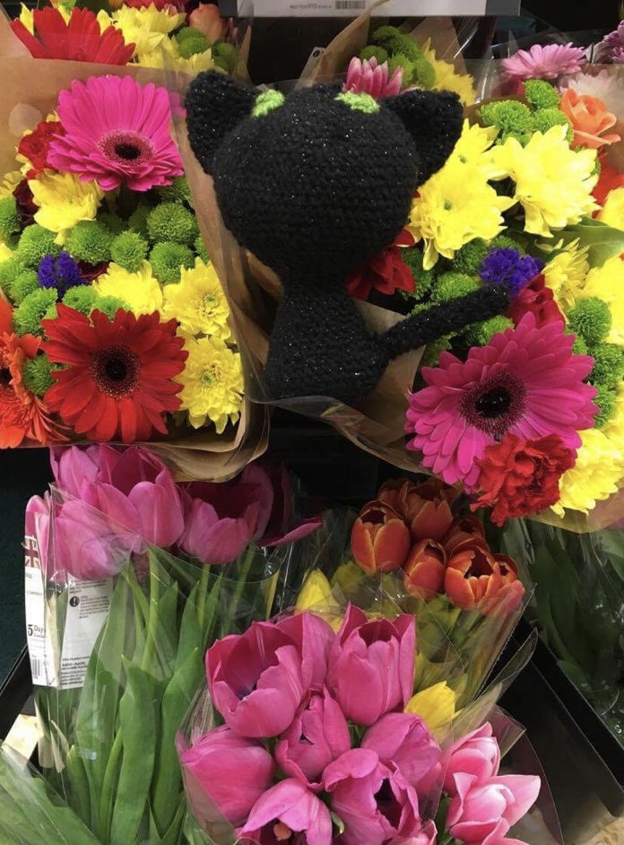 Happy #nationalblackcatday !🐱 show Crystal the Cat 🐱 some love!

-
 Catch up on past #stories here: outwithanimals.wordpress.com
/
#charity #children #story #storytime #storytelling #childrensstory #childrenscharity #outwithanimals #volunteer #blackcatday