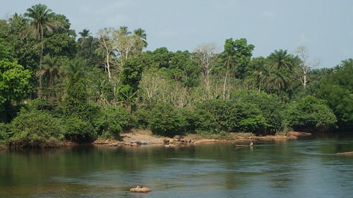 rocio_condor's tweet photo. @FAOSierraLeone seeks a Forestry Officer (Technical Advisor) to work on an EU-funded project in #SierraLeone. 🧐If you're interested, apply at https://t.co/tDglNtuzTw

#ForestMonitoring https://t.co/YFOIfheZ1p