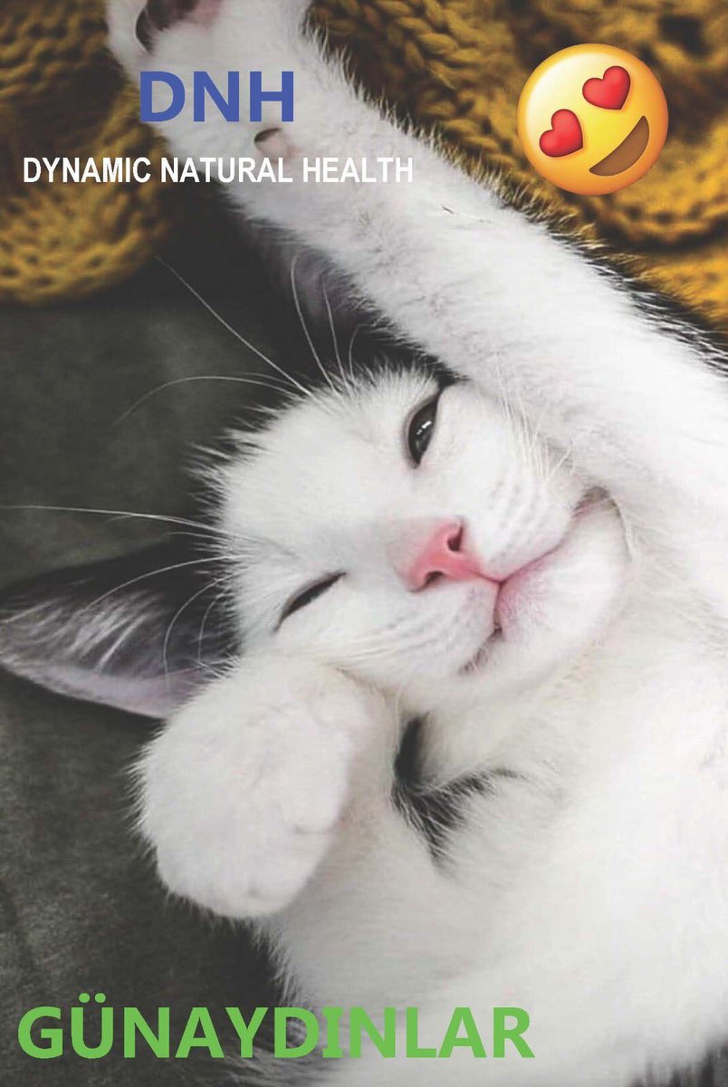DnhSystem's tweet image. Günaydınlar