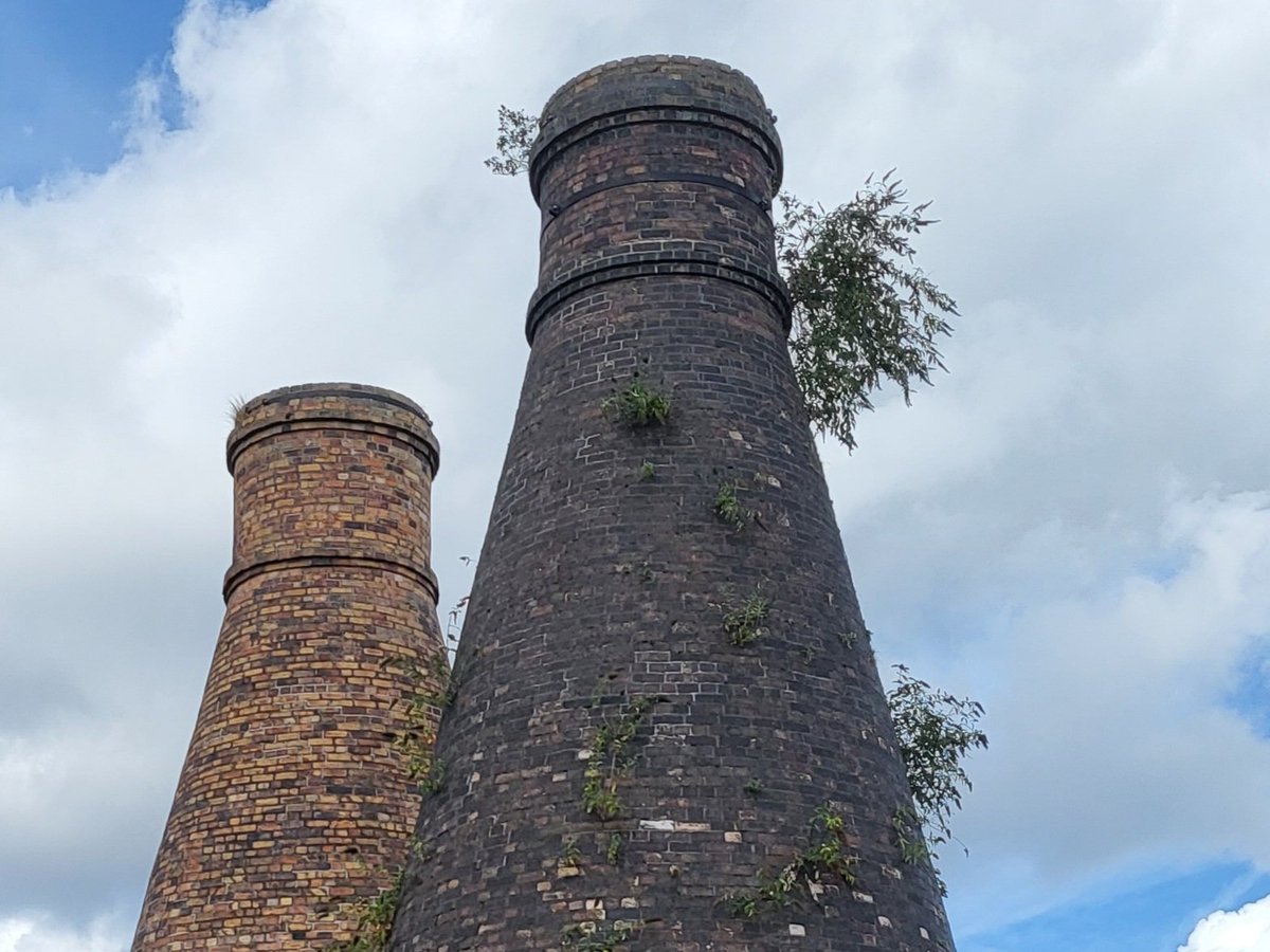 Jeff Nash tweet media