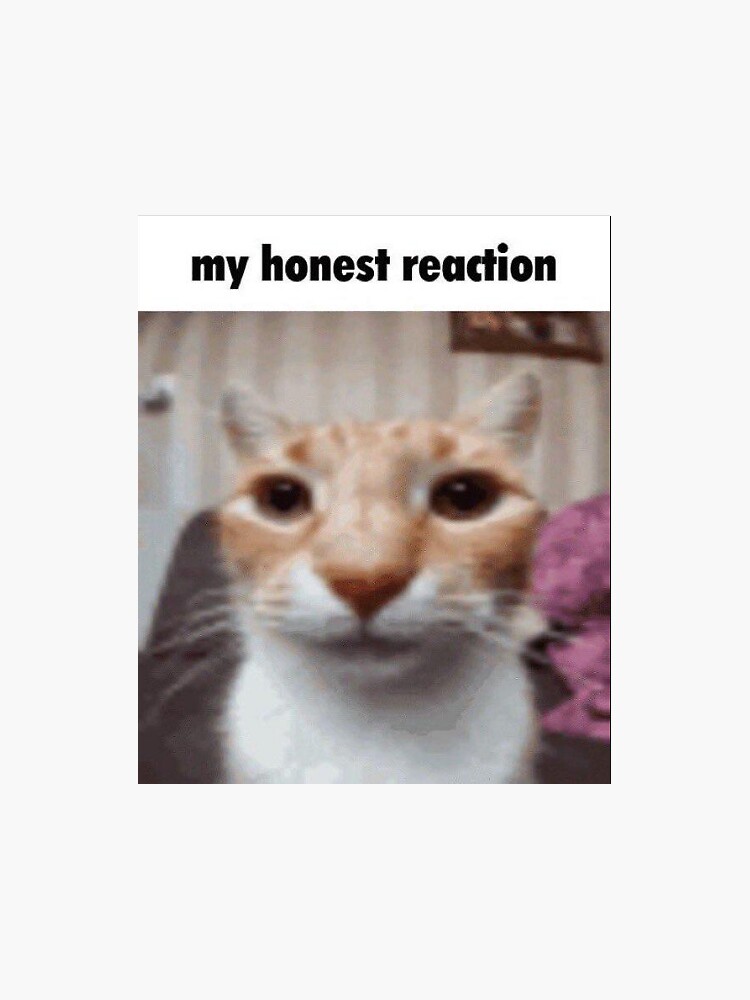 LatinWarriorsPes tweet media