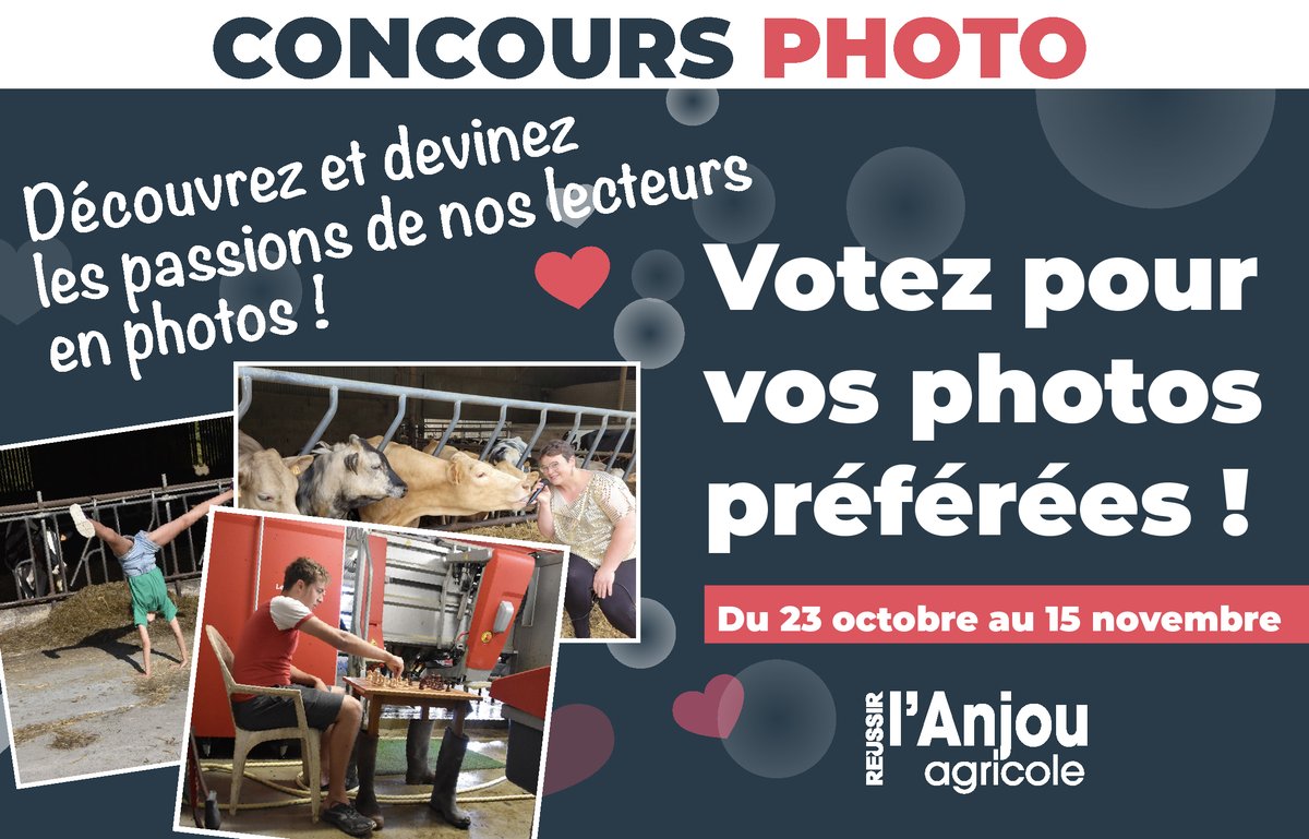 WAHOUUU !!! Vos photos sont incroyables ! 📷📷
Un grand MERCI à tous ! Le choix va être difficile...
Découvrez et devinez les passions de nos lecteurs en photos !
Du 20 octobre au 15 novembre, votez pour vos photos préférées 📷!
c'est par ici ▶️▶️ bit.ly/3S7QT28