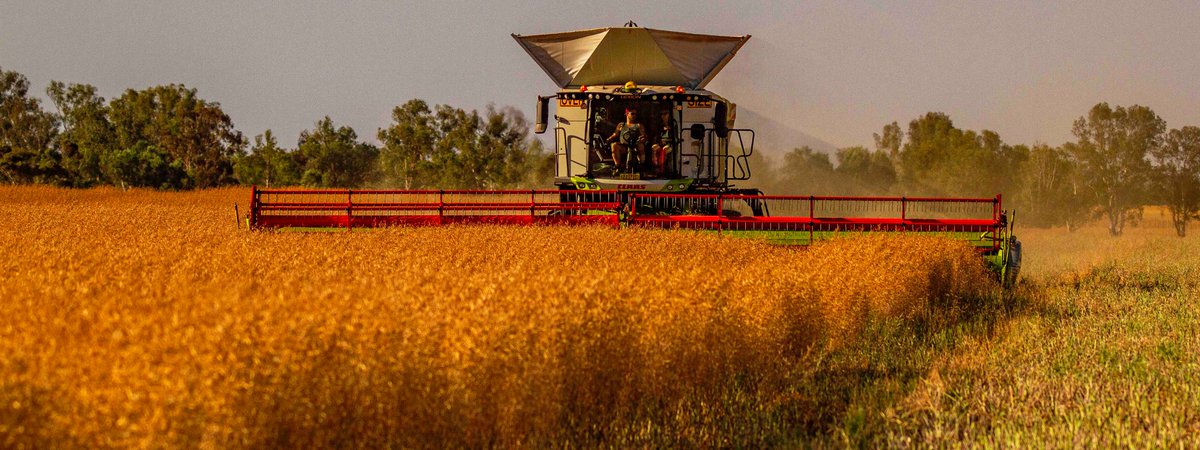 Ben Crosthwaite tweet media