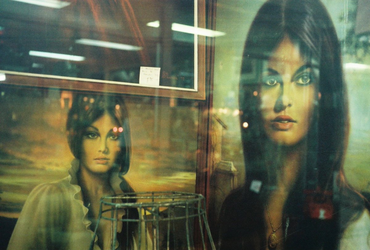 Crucifore☠️🦎 tweet media