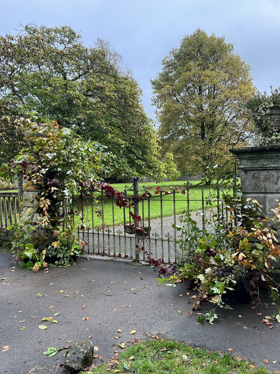lighthouse_lily's tweet photo. This was such a fabulous brief. Take a pair of gates, create a natural autumnal installation with foliage…and add a bride! https://t.co/LaRYgLIbnU