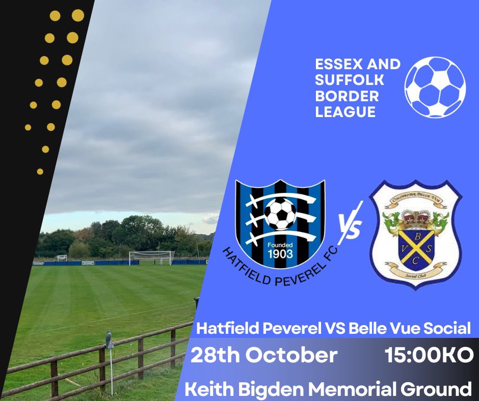 Hatfield Peverel FC tweet media