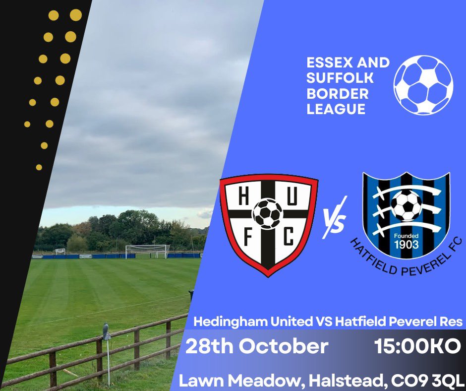 Hatfield Peverel FC tweet media
