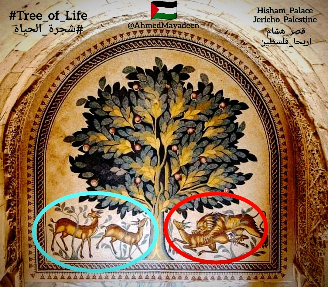 AhmedMayadeen's tweet photo. #Tree_of_Life 
#شجرة_الحياة  
تظهر الصورة تظهر الفسيفساء تدعى بـ"شجرة الحياة" ترمز إلى الفصل بين الحرب والسلام..
يعود تاريخها إلى القرن 8 الميلادي. وتقع في أنقاض قصر الخليفة الأموي هشام إبن عبدالملك إبن مروان بالقرب من مدينة أريحا في الضفة الغربية في فلسطين🇵🇸 .. 
👇🏽👇🏽👇🏽 https://t.co/9aKxSJ82GB