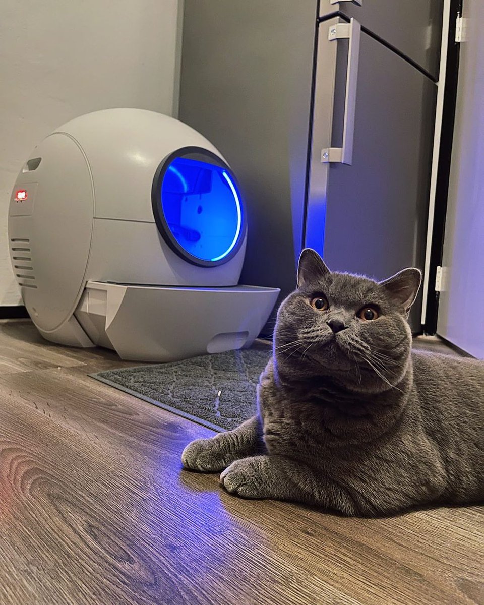 elspet_global's tweet photo. Take a look at this magical device that helps with the automatic cleaning of my waste. Learn more https://t.co/twZUNQhx9U Credit to @britischshorthair.pablo 
#elspet #elspets #catlover #catlitterbox https://t.co/JECkUwMHdT