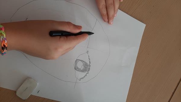 🎨 El dibuix una eina per a aprendre a mirar, observar i conèixer allò que ens envolta. Anirem coneixent tècniques, consells i expressions creatives que ens ajudaran a descobrir les possibilitats de la comunicació gràfica. #dibuixemiaprenem #dibuix #plàstica   #3rprimària