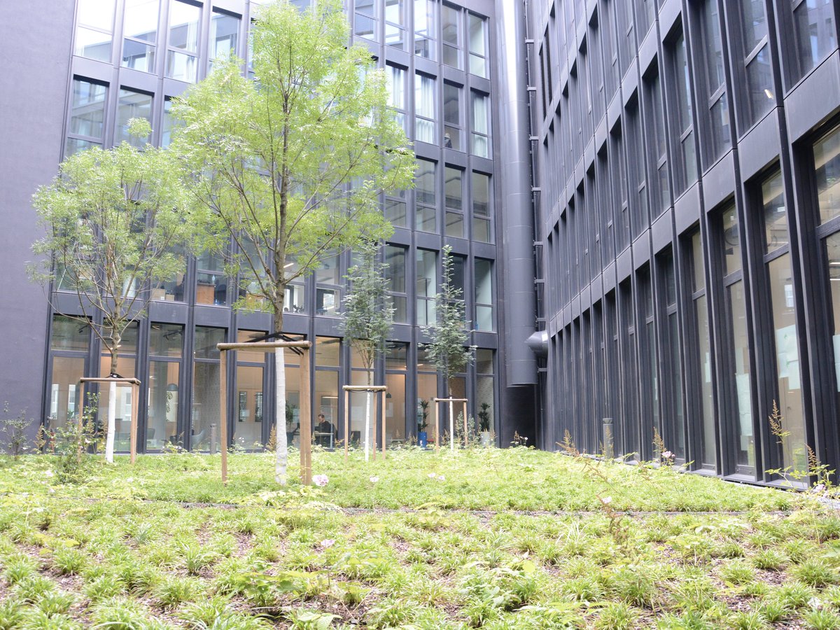 mcgc_jp's tweet photo. ヨーロッパ拠点の地域統括会社である #MitsubishiChemicalEurope (MCE) を紹介します！

MCEは、ドイツのデュッセルドルフにオフィスを構え、管理部門、いくつかのビジネスグループと事業部、研究所があります。

私たちのオフィスをご覧ください👇
#VisitMCG https://t.co/b30g71hGmI