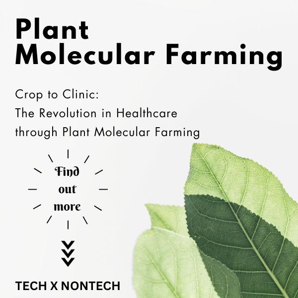 andreeahha's tweet photo. Plant Molecular Farming is a biotech approach that involves genetically modifying plants to produce valuable proteins, pharmaceuticals etc for med, industrial, &amp; agri applications.

LINKEDIN https://t.co/vDUNhWiELR
MEDIUM https://t.co/RWDsR1ITd4
SUBSTACK https://t.co/EKX0OhaVbU https://t.co/Yo584MxFv2
