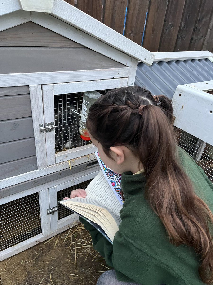 lauradr73125367's tweet photo. @priory_primary Eliza reading to one of her pet rabbits https://t.co/01CmaCEM1P