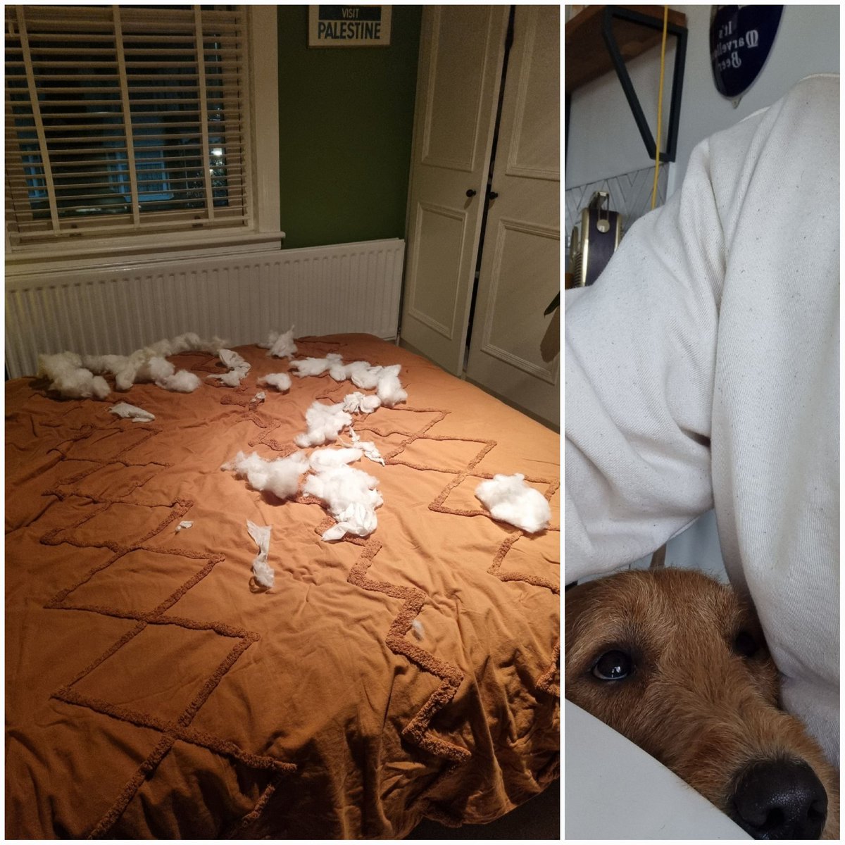 BLOCKCHAIN RECLAIM 🏆🏅 tweet media