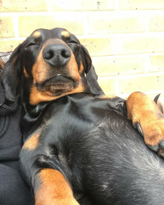 John Fladd tweet media