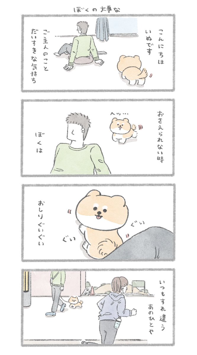 ぼくの大事な
#こんにちはいぬです 