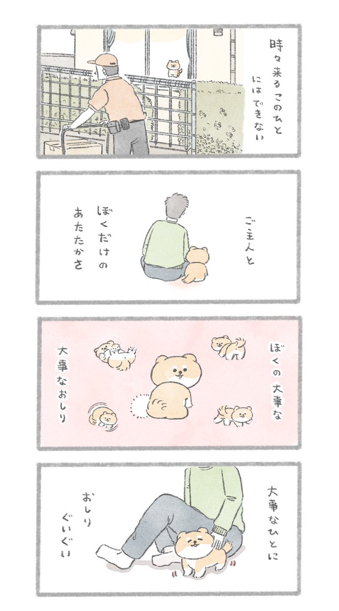 ぼくの大事な
#こんにちはいぬです 