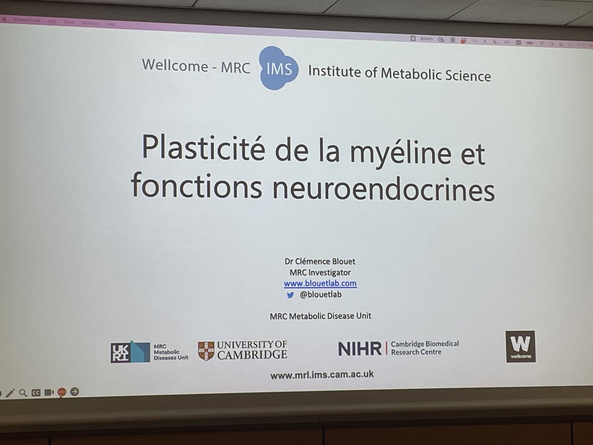 Alex Benani tweet media