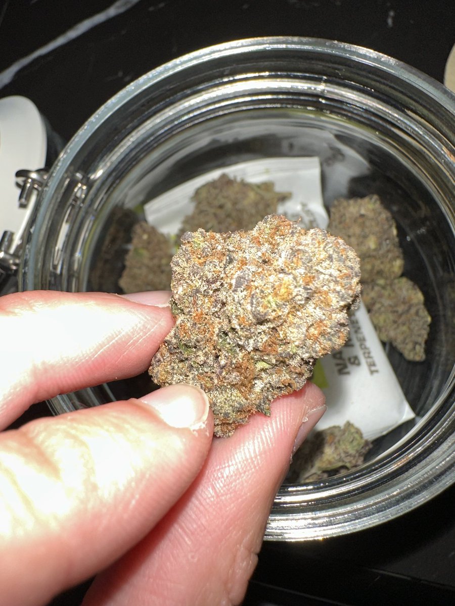 riseandshine619's tweet photo. Sugar Cane 💫🔥 Indoor OG 100%

#กัญชาปลีกส่ง #weedwholesale #kingofweed #กัญชาดินแดง #กัญชาไฟฟ้า #กัญชาอินทามระ41 #importcanada #importusa #กัญชาog #กัญชานวมินทร์ #cannabis #weed #กัญชาสุทธิสาร #riseandshine https://t.co/WwmsaEh59L