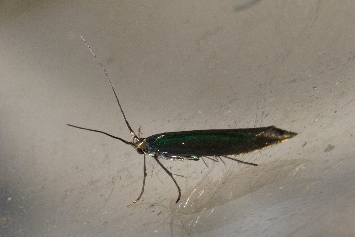 Peter Hendry tweet media