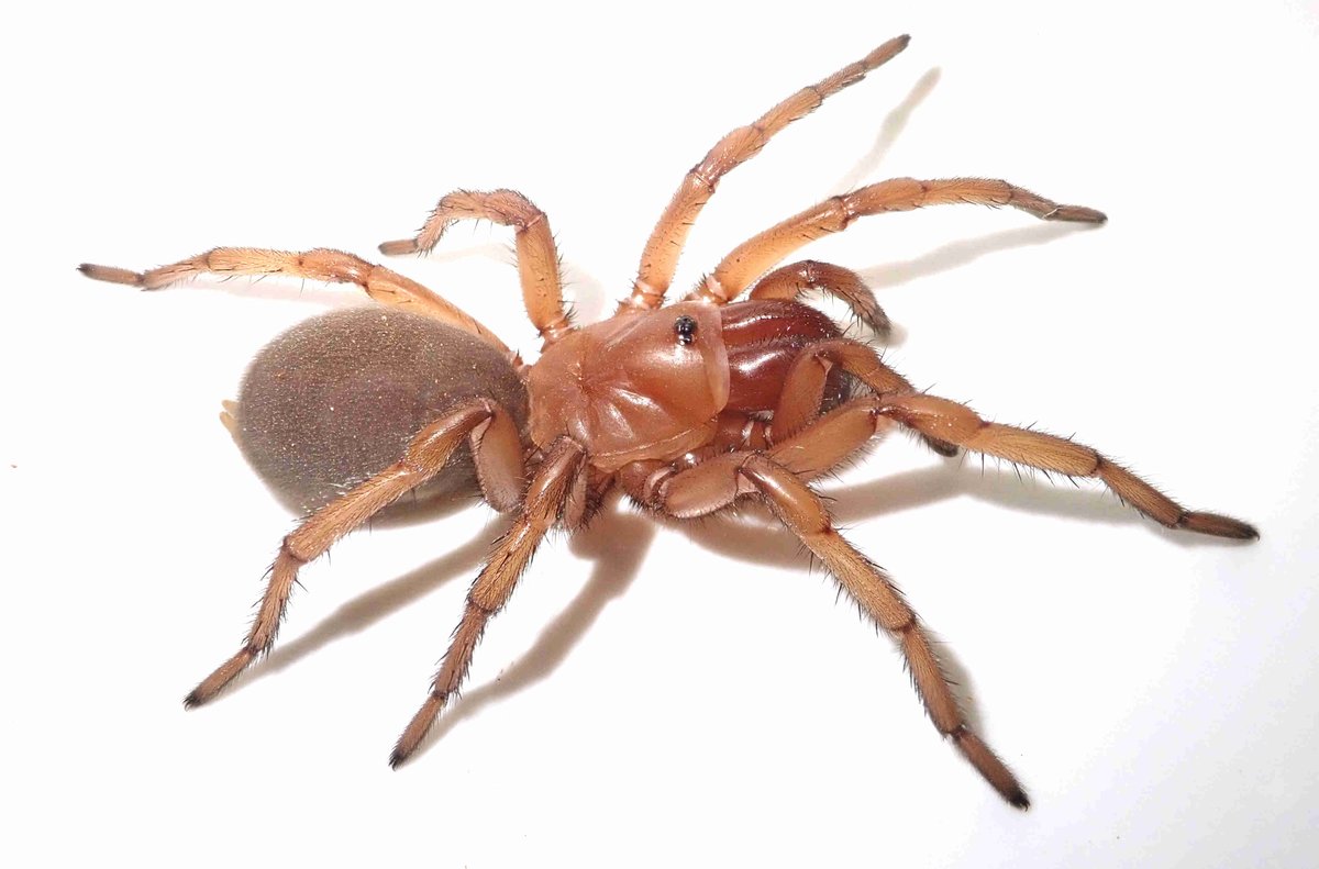 Jeremy Wilson tweet media