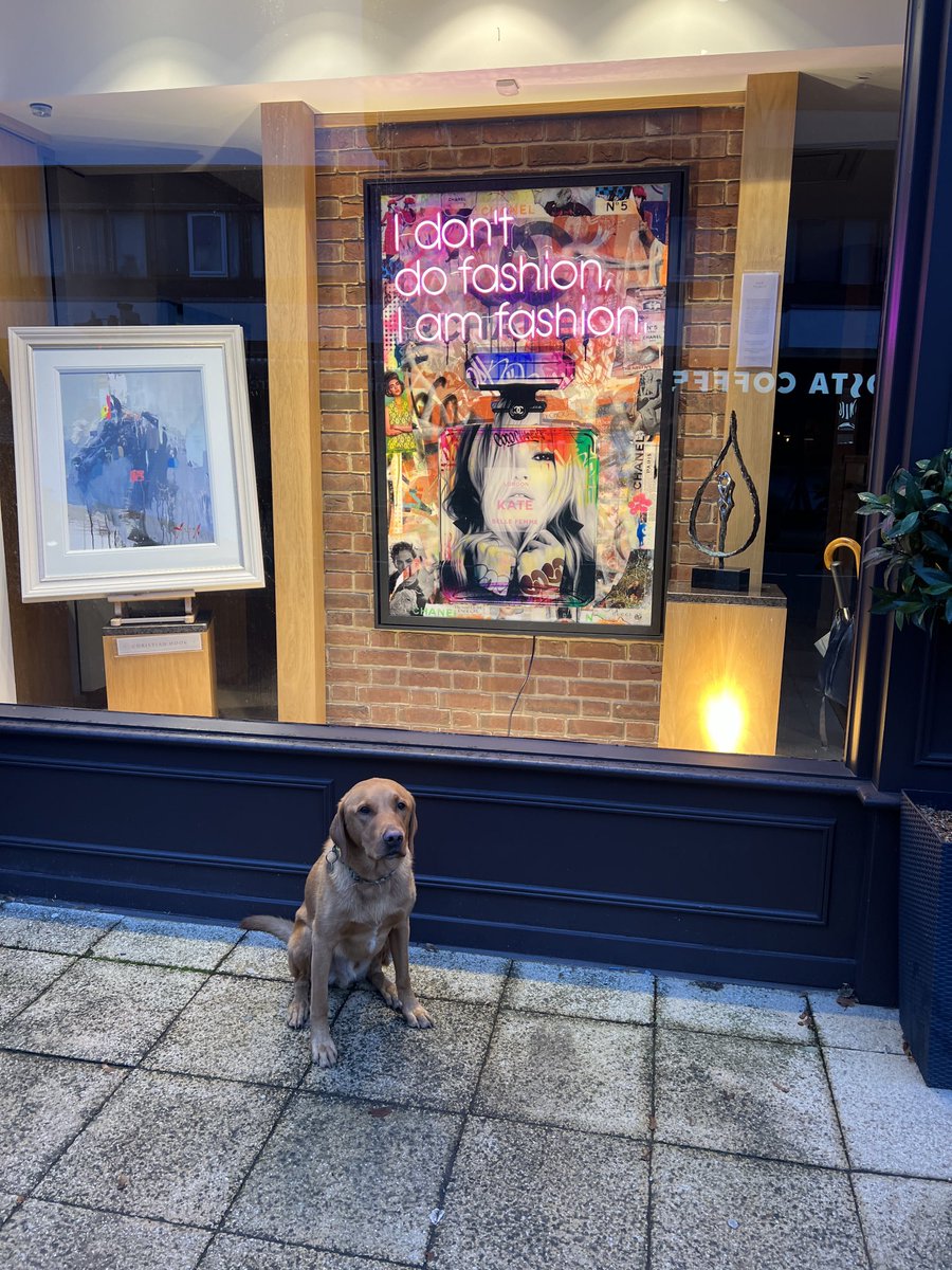 Patrick Waterhouse tweet media