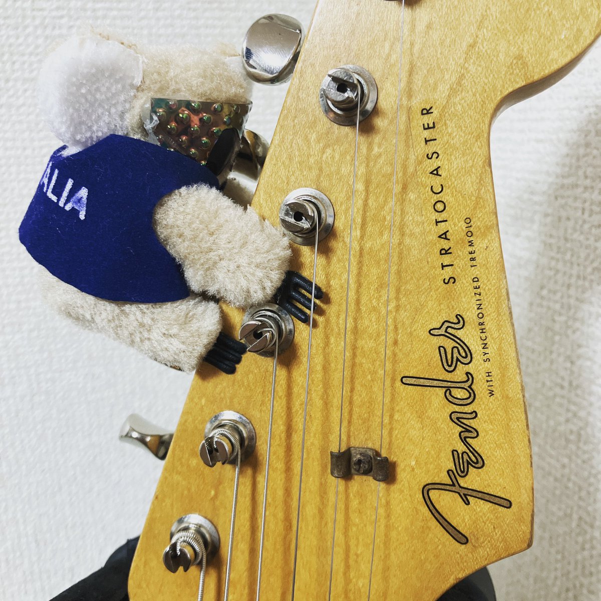 sugi_zo's tweet photo. コアラと言ったら「顔はやばいよ、ボディやんな、ボディを」ですよね！と酔っ払いが絡んでいっても優しく対応してくれました。

オーストラリアのみなさん、良い人でした🐨

#superfundownunder https://t.co/uyHFPr19Xi