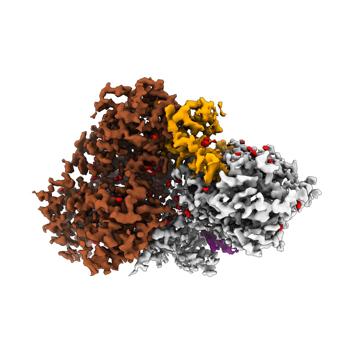 This was missed due to major live events happening around the same time, but we have released some of our high-resolution (2 Å) and rapid screening #cryoEM maps & models of the human CAK bound to small molecules. Paper still under review - more to follow. ebi.ac.uk/emdb/search/cu…