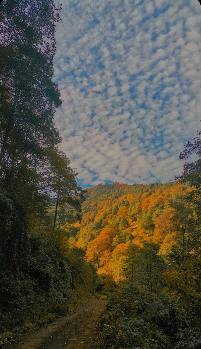 Anlık 🧡
#Autumn #nature