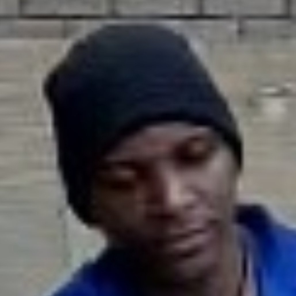 SolarSandalBoy tweet media