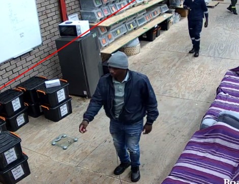 SolarSandalBoy tweet media