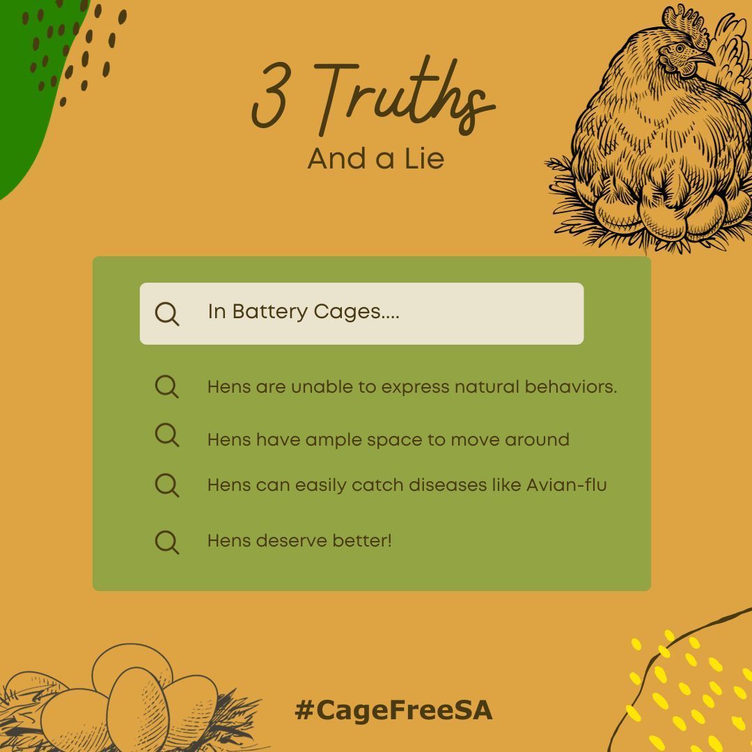 What are the 3 truths and a lie about battery cages? Join us in advocating for a #CageFreeSA buff.ly/2U5Hiuq #Southafrica #Picknpaycruelty #Cagefree