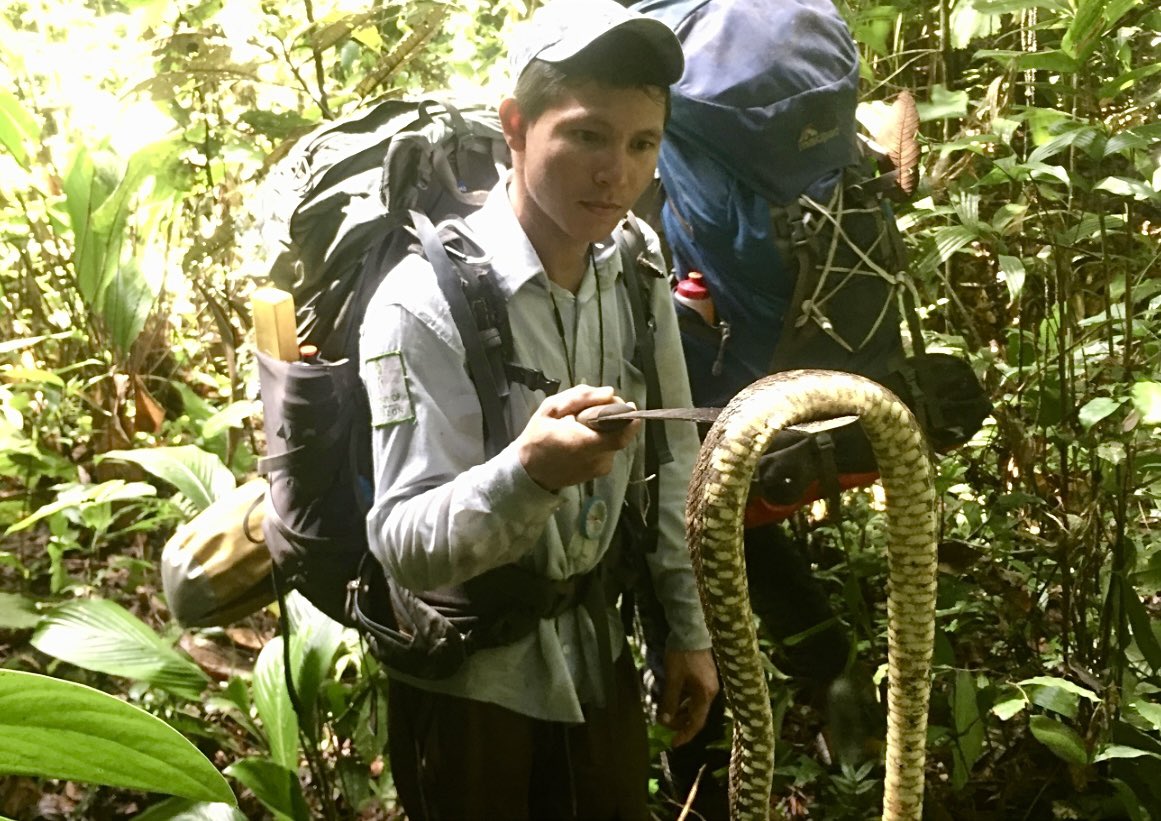 Ascent of the Amazon tweet media