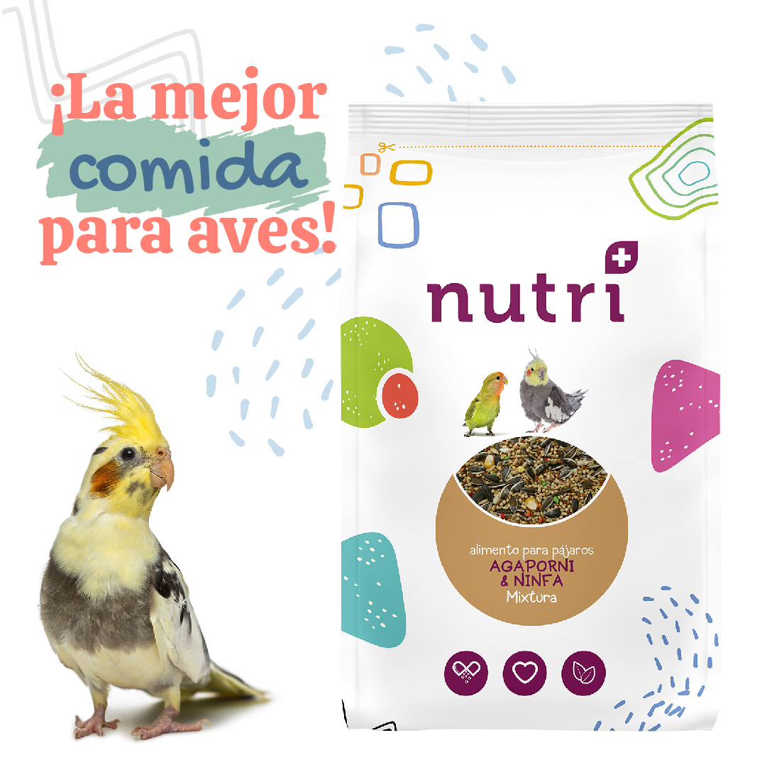 grupoyagu's tweet photo. ¿Buscas una marca de alimentación completa para aves?

Nutri+ es una gama de mixturas y pastas de cría que les encantará.

Envasada en atmósfera modificada, garantiza una mayor calidad y frescura, por lo que obtendrán una alimentación sana y equilibrada. https://t.co/dDvNDEJEKV