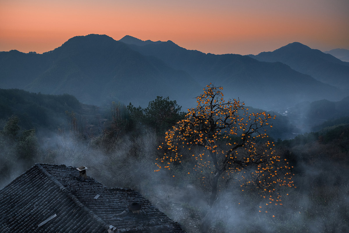 pingtanchina's tweet image. Frost Descent (霜降) of the 24 solar terms

#solarterms #NaturePhotograhpy