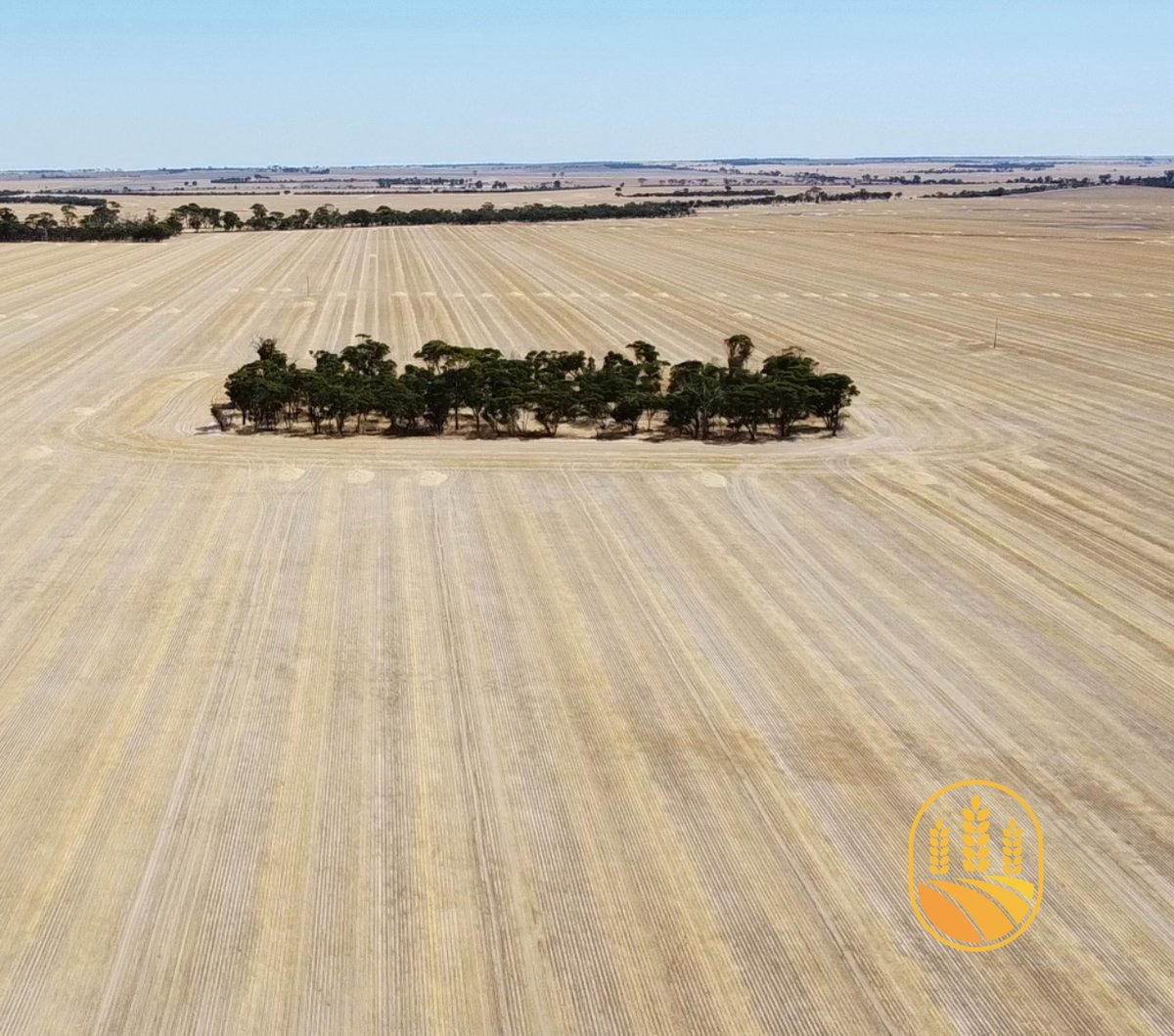 MetlanSolutions's tweet photo. Taking a moment to acknowledge the unwavering commitment and hard work of our primary producers.
 
As the foundation of our nation's food supply, your efforts are deeply valued.

Wishing all Australian farmers a safe and prosperous harvest season.🚜💚

#metlansolutions https://t.co/PFw7CZNOie