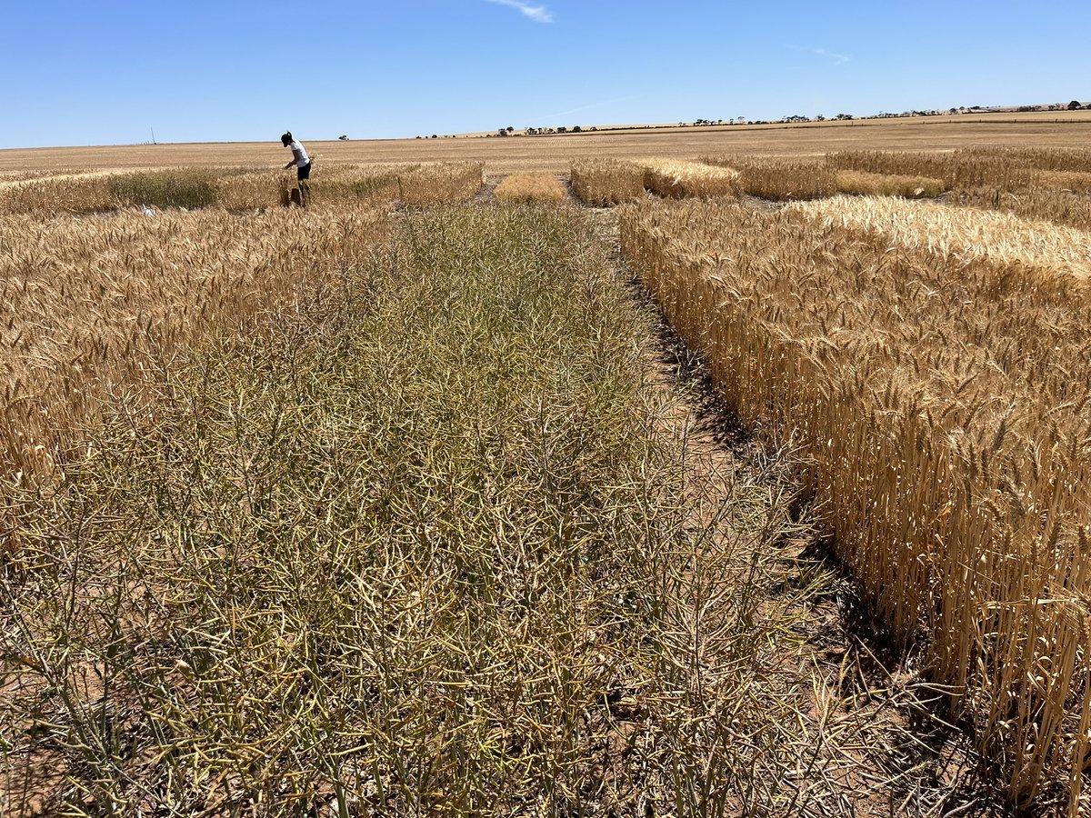 Tony Swan tweet media