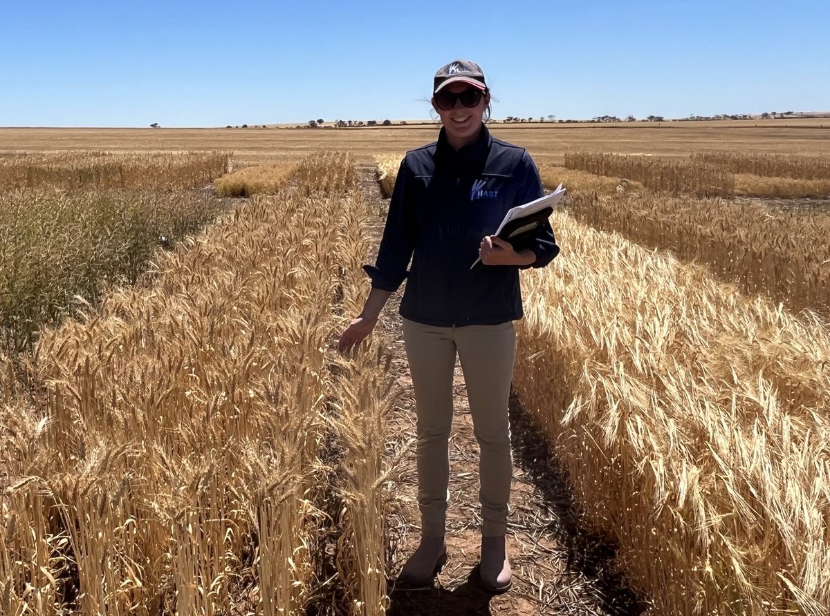 Tony Swan tweet media